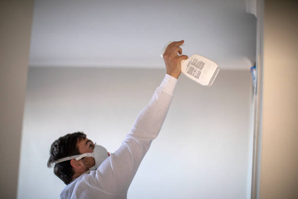 Best Local Mold Removal Service  in Fairbury, IL